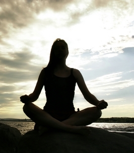 Buddhism and Human Flourishing Workshop
