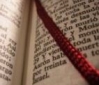 Modern Languages Modern Languages