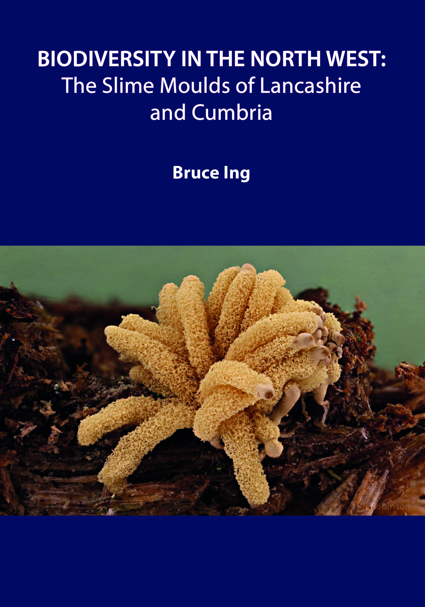 Biodiversity in the North West: The Slime Moulds of Lancashire and Cumbria