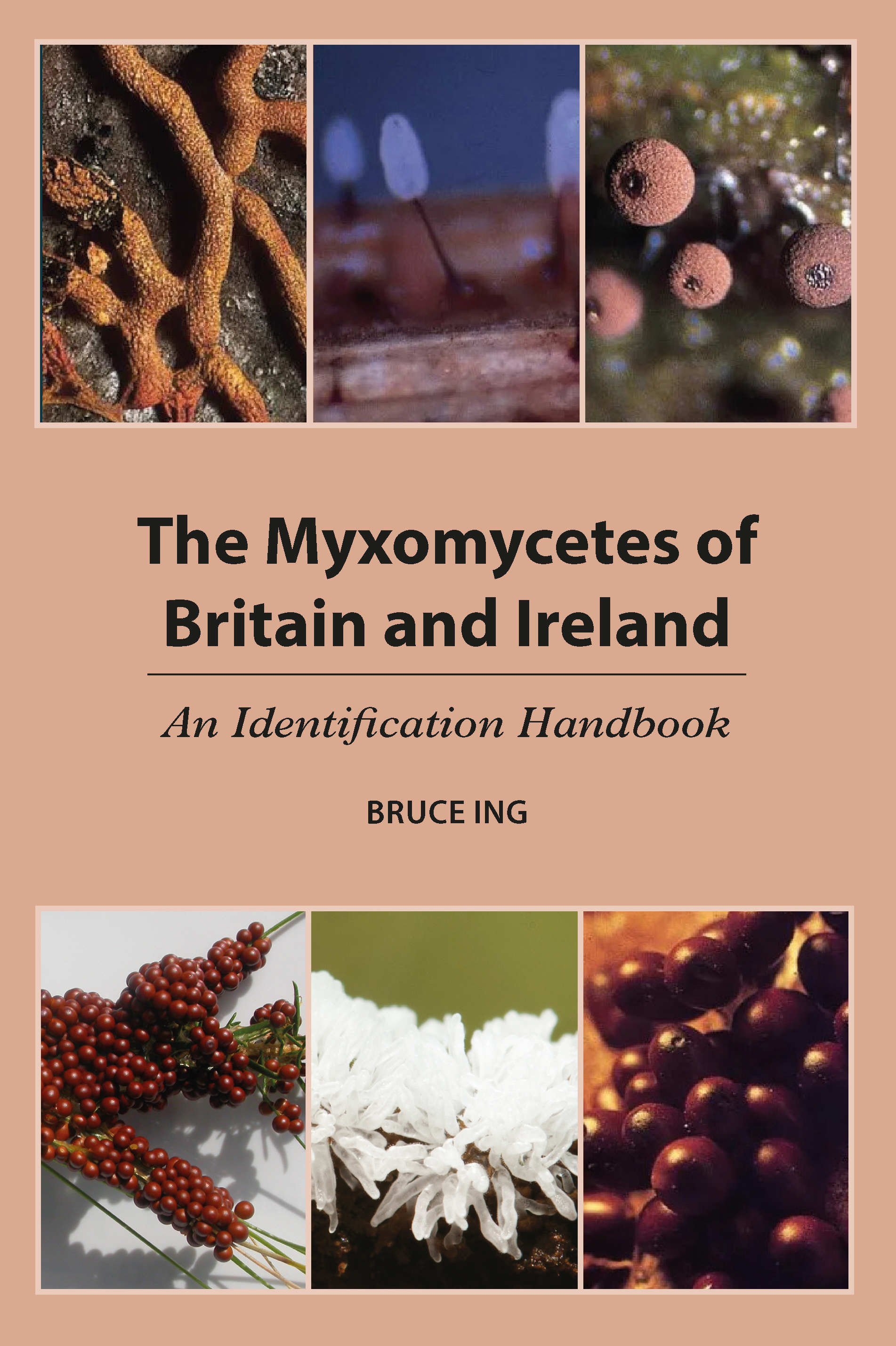 The Myxomycetes of Britain and Ireland: An Identification Handbook