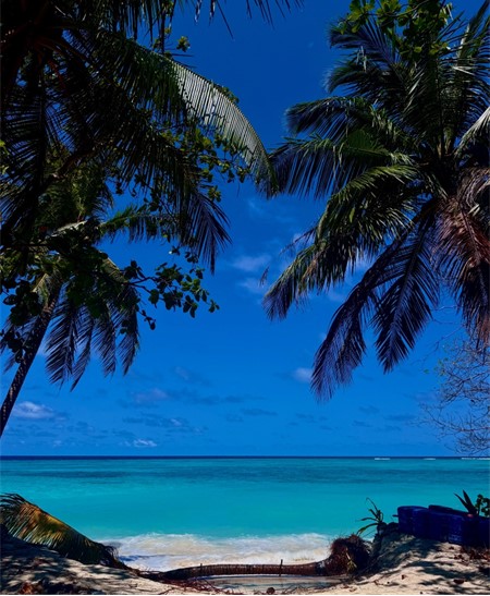 NS5992 Experiential Learning Trip Maldives 2026 (2nd Instalment)